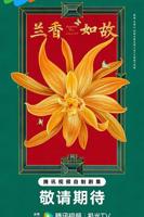 《兰香如故》高清电视剧